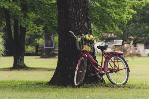 Vélo rouge appuyé contre un arbre dans un parc